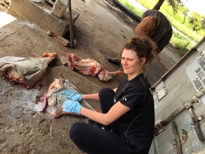 Kamilla enjoys the meat prep ;-D