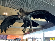 Queenstown Airport: Gandalf!